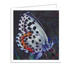 Load image into Gallery viewer, Ann Butterfly #2- Set of 6 Notecards  by Doggylips
